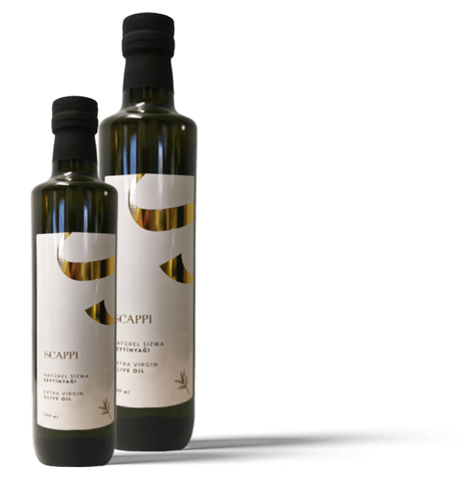 Olive Oil